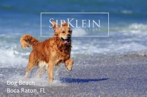Dog Parks in Boca Raton - SipKlein.com Luxury Real Estate