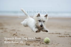 Spanish River Dog Beach Park - SipKlein.com Luxury Real Estate