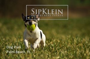 Dog Parks in Palm Beach County - SipKlein.com Luxury Real Estate