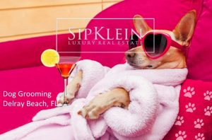 Pet Spas Palm Beach FL - Sipklein.com Luxury Real Estate